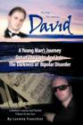 Image for David : A Young Man&#39;s Journey Out of the Light and Into the Darkness of Bipolar Disorder