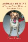 Image for Animals&#39; Destiny : A Tale of Stray Dogs in Southern Italy