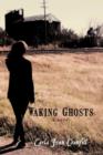 Image for Waking Ghosts