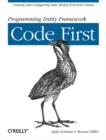 Image for Programming entity framework: Code first
