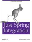 Image for Just Spring integration