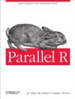 Image for Parallel R