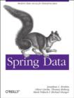 Image for Spring Data  : modern data access for Enterprise Java