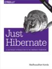 Image for Just Hibernate
