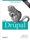 Image for Using Drupal.