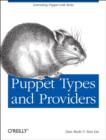 Image for Puppet types and providers