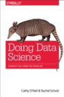 Image for Doing data science