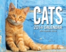 Image for Cats 2014 Mini Box Calendar