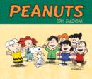 Image for Peanuts 2014 Desk Diary