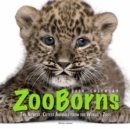 Image for Zooborns 2014 Wall Calendar
