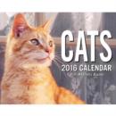 Image for Cats 2016 Mini Day-to-Day Calendar