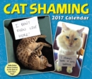 Image for Cat Shaming 2017 Day-to-Day Calendar