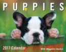 Image for Puppies 2017 Mini Day-to-Day Calendar