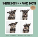 Image for Shelter Dogs in a Photo Booth 2018 Wall Calendar