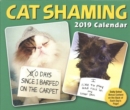 Image for Cat Shaming 2019 Day-to-Day Calendar