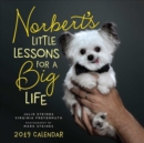 Image for Norbert&#39;S Little Lessons for a Big Life 2019 Square Wall Calendar