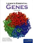 Image for Lewin&#39;s Essential GENES
