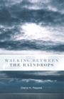 Image for Walking Between the Raindrops