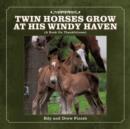 Image for Twin Horses Grow at His Windy Haven : (A Book On Thankfulness)
