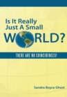Image for Is It Really Just a Small World?: There Are No Coincidences!