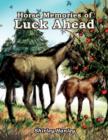 Image for Horse Memories of Luck Ahead