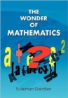 Image for The Wonder of Mathematics