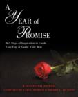 Image for A Year of Promise