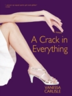 Image for Crack in Everything: A Novel