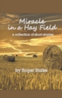 Image for Miracle in a Hay Field: A Collection of Short Stories