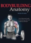 Image for Bodybuilding anatomy