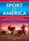 Image for Sport in America: from wicked amusement to national obsession