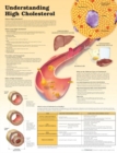 Image for Understanding High Cholesterol Paper