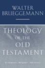 Image for Theology of the Old Testament: Testimony, Dispute, Advocacy