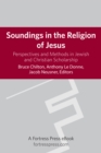 Image for Soundings in the religion of Jesus: perspectives and methods in Jewish and Christian scholarship