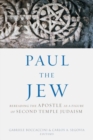 Image for Paul the Jew : Rereading the Apostle as a Figure of Second Temple Judaism
