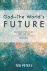 Image for God - The World&#39;s Future : Systematic Theology for a New Era, Third Edition