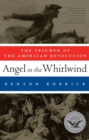Image for Angel in the Whirlwind