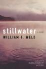 Image for Stillwater : A Novel