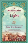 Image for Mountain of Light: A Novel