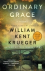 Image for Ordinary grace  : a novel