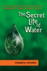 Image for The secret life of water