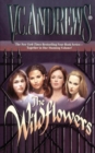 Image for The Wildflowers (omnibus) : Misty--Star--Jade--Cat
