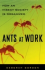 Image for Ants At Work : How An Insect Society Is Organized