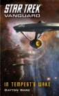 Image for Star Trek: Vanguard: In Tempest&#39;s Wake