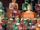 Image for If You Find the Buddha