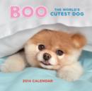 Image for Boo the World&#39;s Cutest Dog 2014 Calendar