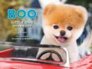 Image for Boo: little dog in the big city