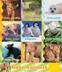 Image for Baby Animals in the Wild.