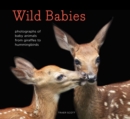 Image for Wild babies  : photographs of animals in their first weeks of life