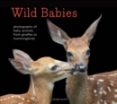 Image for Wild Babies: Photographs of Baby Animals from Giraffes to Hummingbirds